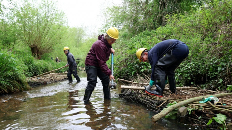 Moins de béton face aux inondations, des localités anglaises tentent une nouvelle approche