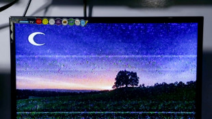 Dos canales de televisi&oacute;n de Afganist&aacute;n dejan de difundir im&aacute;genes de seres vivos
