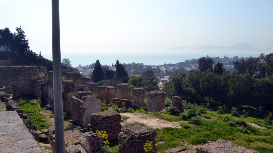 Svelata per la prima volta l'origine degli abitanti di Cartagine