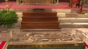 St Francis relics go on public show for first time in Italy