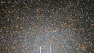 Des astronomes d&eacute;tectent enfin un trou noir "poids-moyen" 