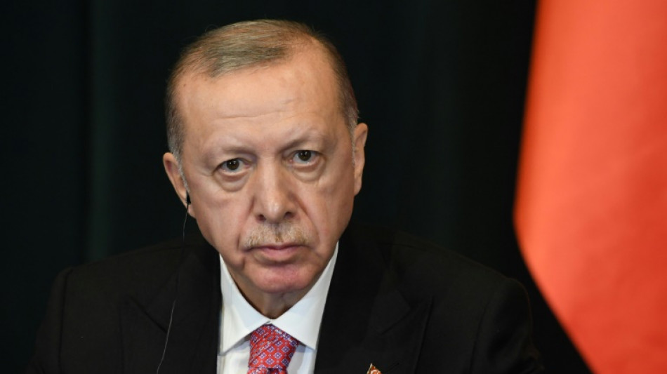 Erdogan entl&auml;sst nach Streit um Inflationsrate Leiter der Statistikbeh&ouml;rde
