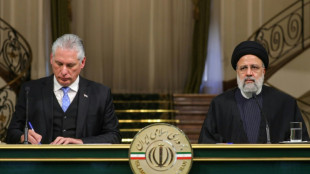 Iran und Kuba wollen sich bei Gegenwehr gegen US-Sanktionen unterstützen