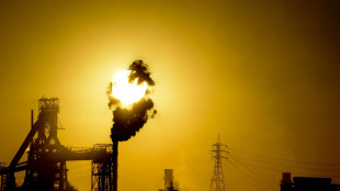 Consiglio Stato, 'pu&ograve; continuare attivit&agrave; produttiva Ilva'