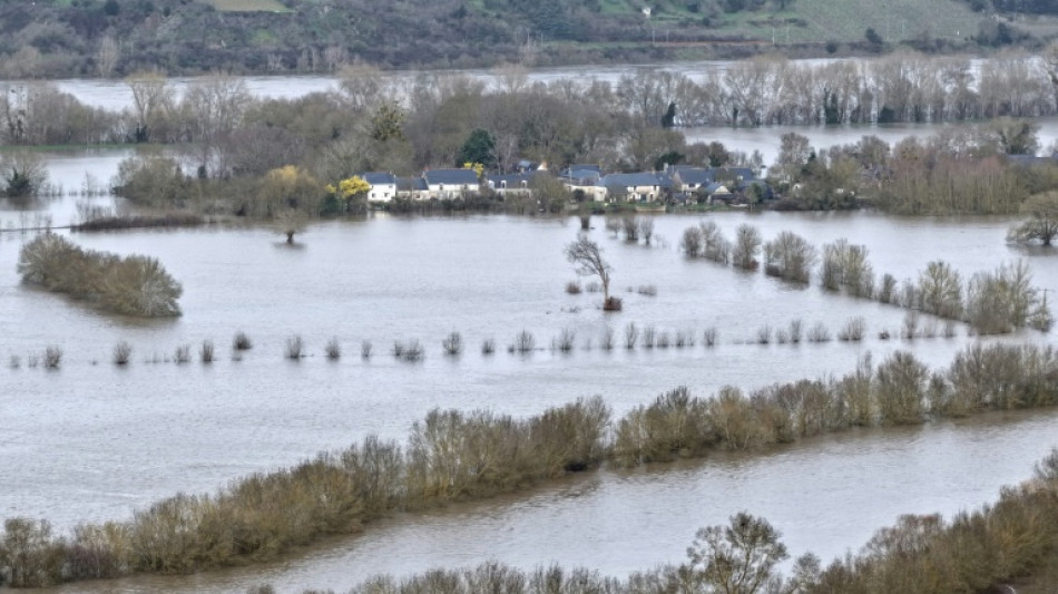Crues: la Loire d&eacute;borde pr&egrave;s d'Angers, alerte toujours maximale dans le sud-ouest