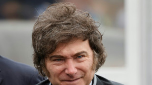 El gobierno argentino autoriza a civiles la compra de armas semiautom&aacute;ticas y de asalto