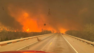 Dezenas de incêndios florestais devastam parte do Texas
