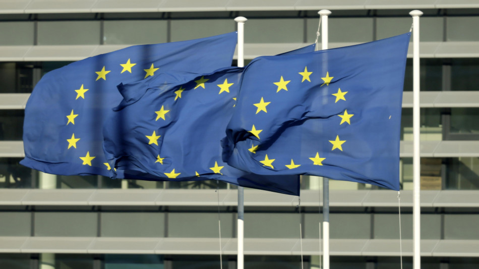 Ue, Reich? Anche parole folli sono libertà espressione