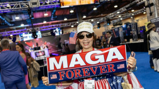 Republicanos divididos sobre su identidad y estrategia para elecciones de medio mandato en EEUU