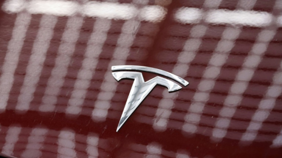 Tesla first quarter sales sink amid anger over Musk politics