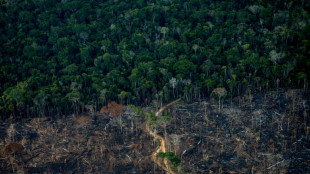 Bericht: Bergbau-Giganten wollen in Ureinwohner-Gebiete im Amazonas vordringen