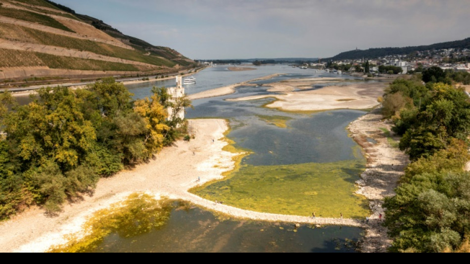 Sommer in Deutschland in diesem Jahr erneut zu hei&szlig; und zu trocken