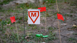 Kiev, morti in attacco russo due sminatori di ong danese