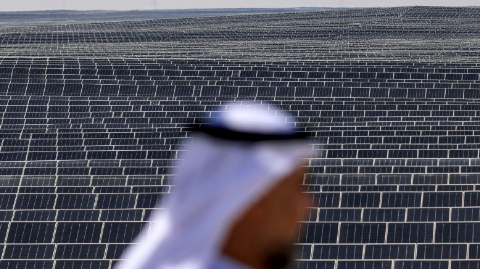 Emiratos Árabes inaugura una de las mayores centrales solares del mundo