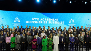 Muted outcome of WTO talks throws trade body into 'crisis' 