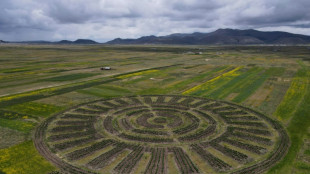 Waru Waru, uma técnica agrícola andina do passado contra crise climática