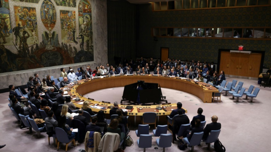 Vote à l'ONU: Israël salue le plan Trump pour Gaza, le Hamas s'oppose à une force internationale