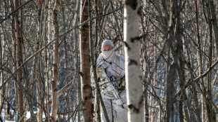 L'Otan s'entra&icirc;ne dans l'Arctique pour se montrer pr&ecirc;te face &agrave; la Russie