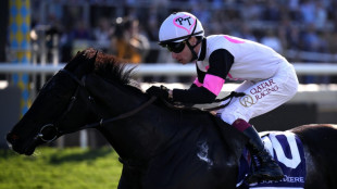 Gstaad gives O'Brien record 21st Breeders' Cup win