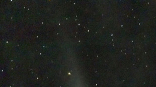 La com&egrave;te Tsuchinshan-ATLAS risque sa peau vendredi