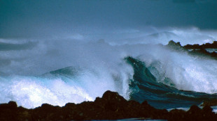 Nel nord Atlantico 27 milioni di tonnellate di nanoplastiche