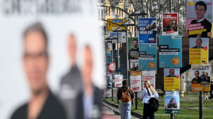 Vorl&auml;ufiges Endergebnis: CDU gewinnt Kommunalwahl in Hessen vor SPD und AfD