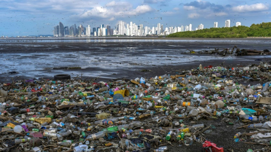Los residuos plásticos están presentes de forma masiva en todos los océanos, según un informe