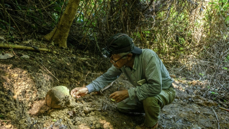 Bone collectors: searching for WWII remains in Okinawa