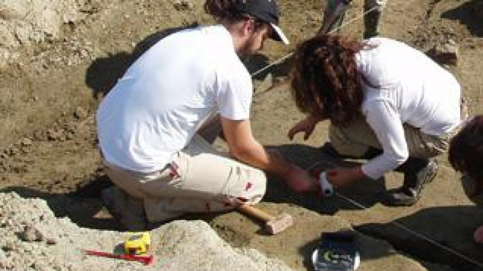 Scoperto un dinosauro in miniatura, pesava meno di un chilo