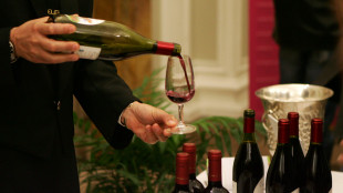 Italia primo produttore mondiale di vino, export del 2025 a 7,8 miliardi