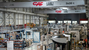 Avec son usine des Hautes-Pyr&eacute;n&eacute;es, l'espagnol CAF s'impose sur le march&eacute; du tramway