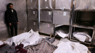 M&aacute;s de 50 muertos en bombardeos israel&iacute;es en Gaza