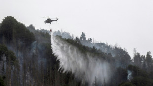 Nach Waldbrand in S&auml;chsischer Schweiz Katastrophenalarm aufgehoben