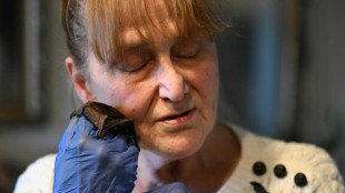 Una jubilada polaca convierte su casa en un asilo de murci&eacute;lagos