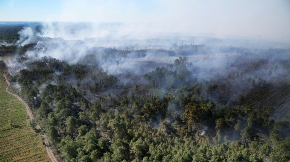 La Gironde en vigilance rouge feux de for&ecirc;t, pr&egrave;s de 5.000 hectares br&ucirc;l&eacute;s