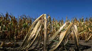 IPCC-Experte P&ouml;rtner sieht gro&szlig;e Umsetzungsl&uuml;cke beim Klimaschutz