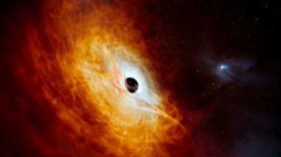 Astrônomos descobrem buraco negro que absorve o equivalente a um Sol por dia