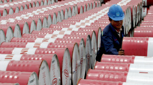 Il petrolio in rialzo a New York a 58,29 dollari