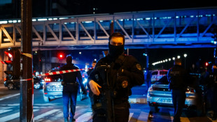 'Terrorist plot' probe after deadly Paris stabbing