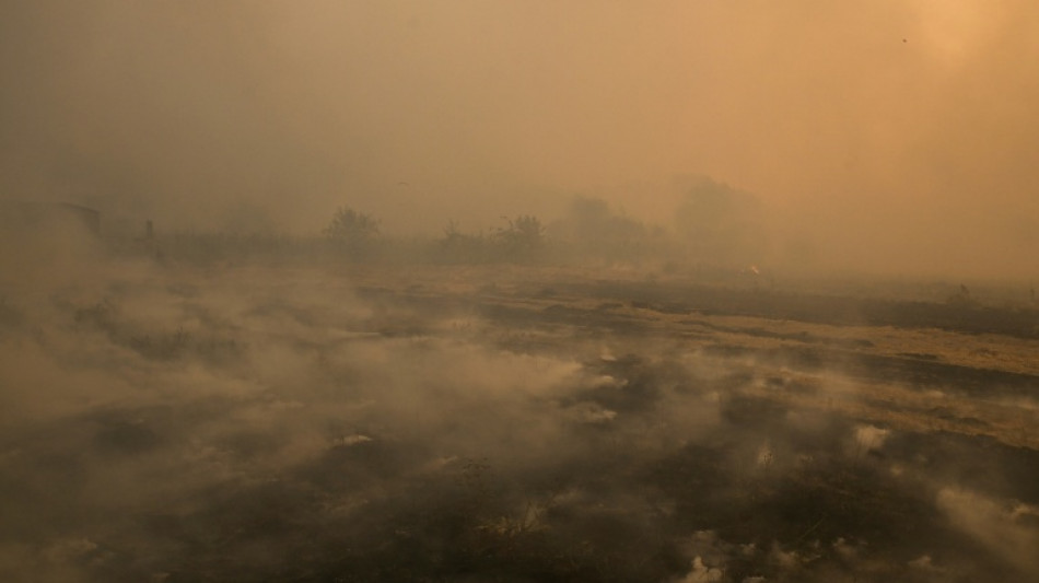 Nuevo fuego en la zona afectada por la pasada ola de incendios en Espa&ntilde;a