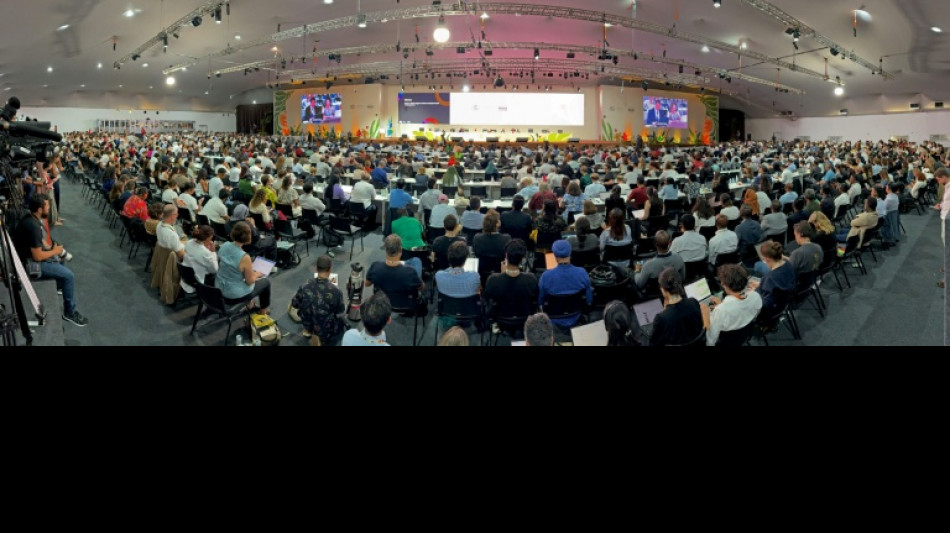 Jusqu'à la fin, une COP brésilienne dans le désordre