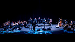 Avion Travel al Duse di Bologna con la Grande Orchestra