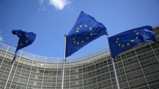 EU einigt sich auf 18. Sanktionspaket gegen Russland - &Ouml;leinnahmen im Fokus