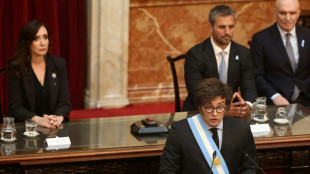 Milei afirma que vetar&aacute; leis para alcan&ccedil;ar 'd&eacute;ficit zero' em 2025