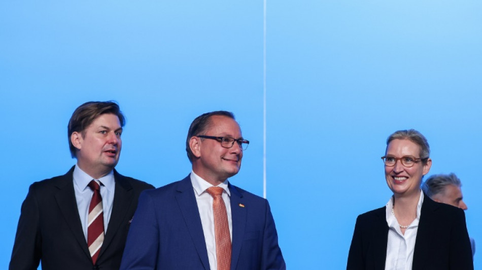 AfD beginnt EU-Wahlkampf in Donaueschingen - Ohne Spitzenkandidat Krah