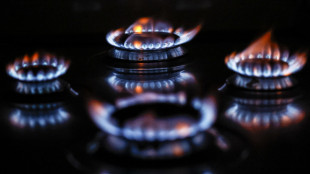 ++ Arera, a settembre il prezzo del gas aumenta del 12,7% per i vulnerabili ++