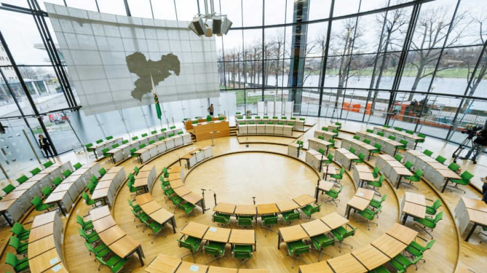Sächsischer Landtag wählt Ausschussvorsitzenden von AfD ab