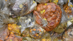 L'UE s'attaque au gaspillage alimentaire et à la fast fashion