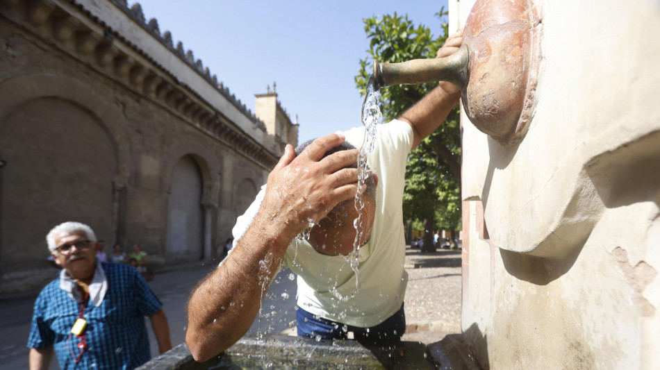 In Spagna morto un bracciante mentre lavorava con 40 gradi