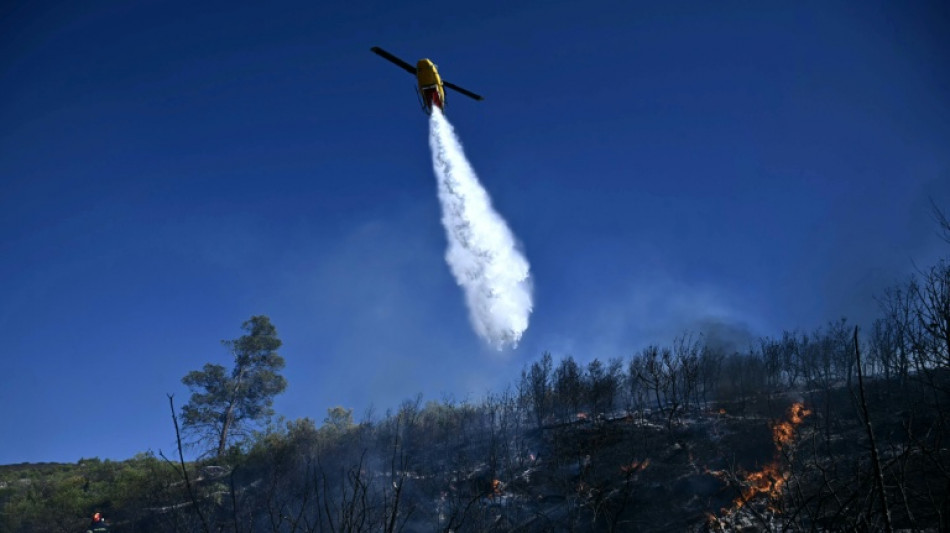 Evacuaciones y casas dañadas por un violento incendio forestal cerca de Atenas